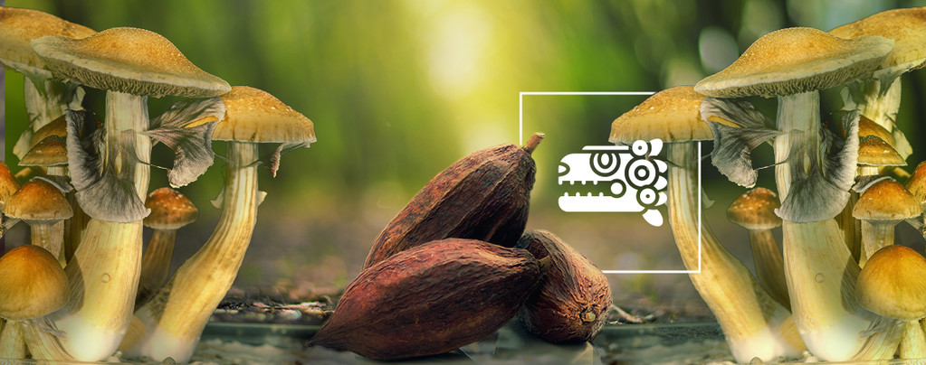 Combinazione Azteca: Funghi Magici & Cacao