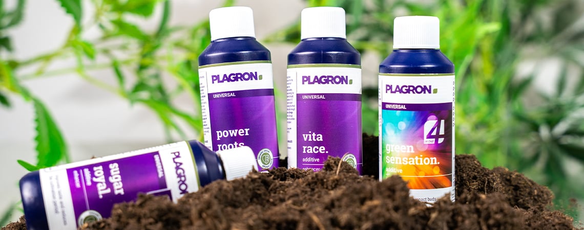 I migliori concimi biologici per la coltivazione della cannabis