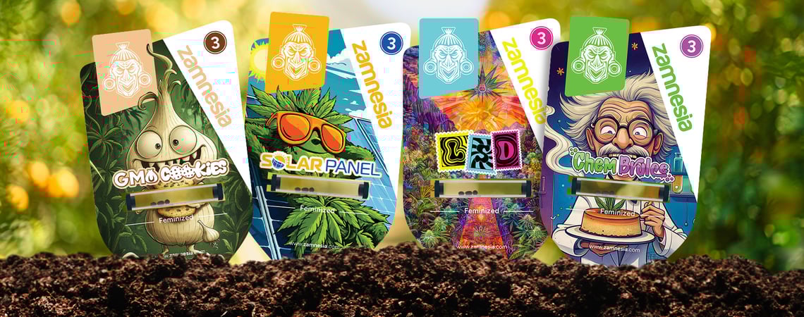 Benvenuto al Sector Z: Varietà di cannabis top-secret