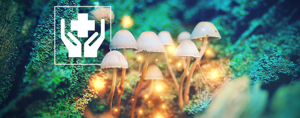 Top 10 Funghi Magici