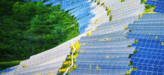 Come i Pannelli Solari Potrebbero Rivoluzionare le Coltivazioni Indoor