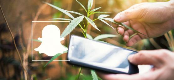 9 Account Sulla Cannabis Da Seguire Su Snapchat