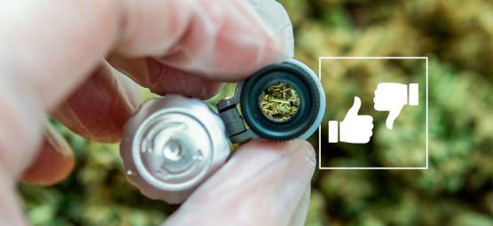 Marijuana Di Buona E Cattiva Qualità: Scopri Le Differenze