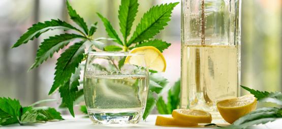 Come Preparare Un Ginjah: Gin Tonic Infuso Con Cannabis