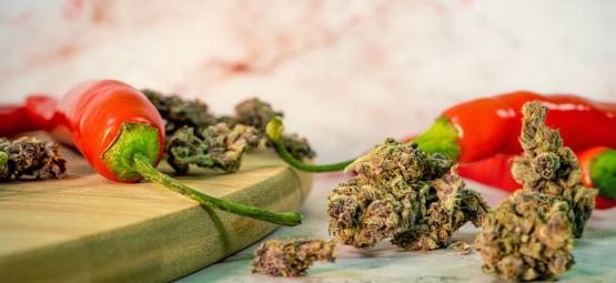 I Sorprendenti Vantaggi Di Combinare La Cannabis E Il Peperoncino