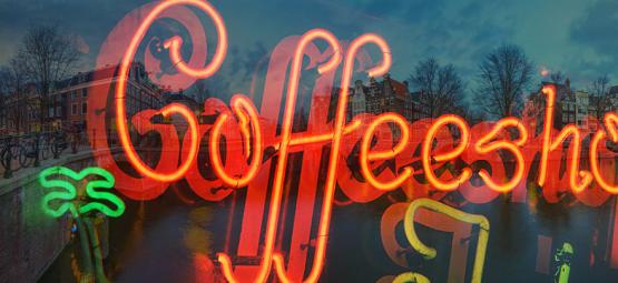 Le Visite Di Zamnesia Ai Coffeeshop Di Amsterdam