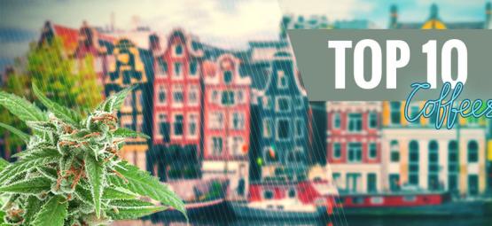 Le 10 Migliori Varietà Di Cannabis Dei Coffeeshop Di Amsterdam