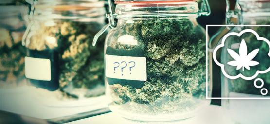 In Futuro, Come Dovremmo Denominare Le Varietà Di Cannabis?