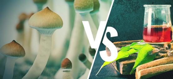 Ayahuasca Vs. Funghi Magici: Qual È La Differenza?