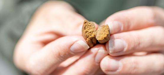 Come Riconoscere L'Hashish Di Alta Qualità