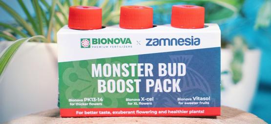 Usa Monster Bud Boost Pack Per Ottenere Delle Cime Più Fruttate