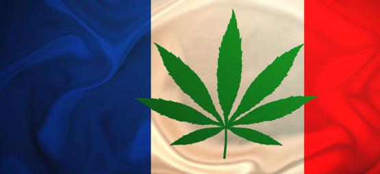 La Francia Distribuirà La Cannabis Gratuitamente Nel 2024