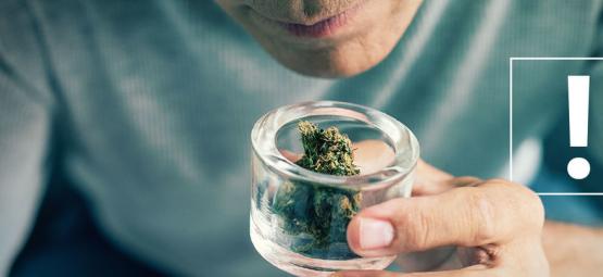 Come Riconoscere Le Impurità Sulle Cime Di Cannabis