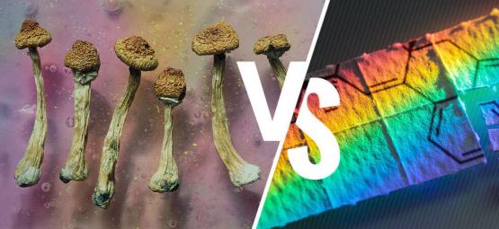 Funghi Allucinogeni Vs LSD: Che Differenza C'è?