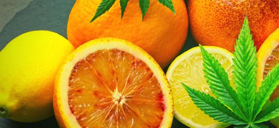 Cos'è Il Limonene Nella Cannabis?