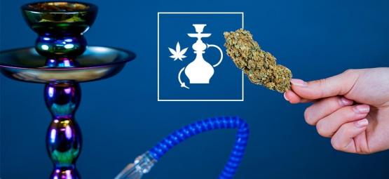 Fumare Cannabis In Un Narghilè: Tutto Quello Che C'È Da Sapere