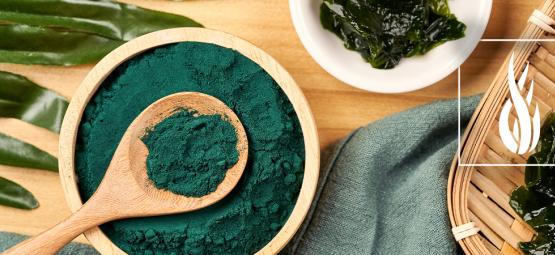 Tutto Quello Che C'è Da Sapere Sulla Spirulina