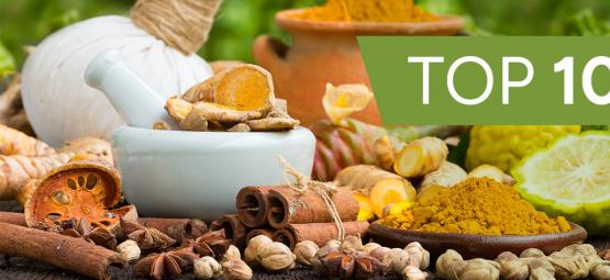 Le 10 Erbe Ayurvediche Più Importanti