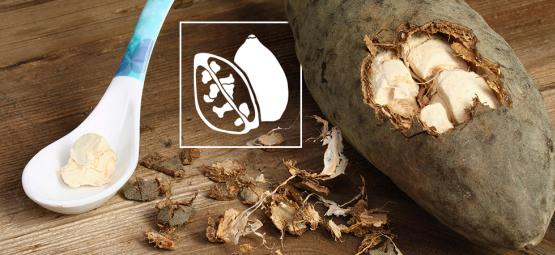 Il Tesoro Africano: Scopri I Benefici Della Polvere Di Baobab