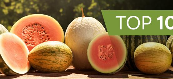 Le 10 Varietà Di Melone Più Speciali