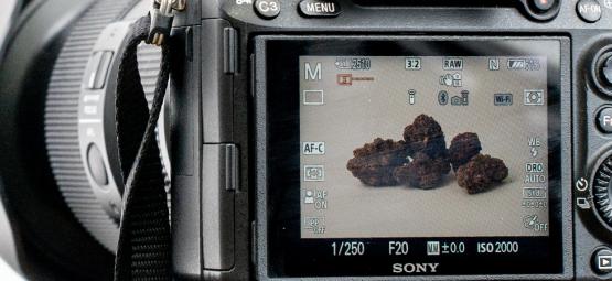 Fotografare La Cannabis: Come Scattare Foto Di Alta Qualità