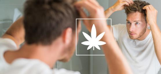 Gli Effetti Della Cannabis Sui Capelli