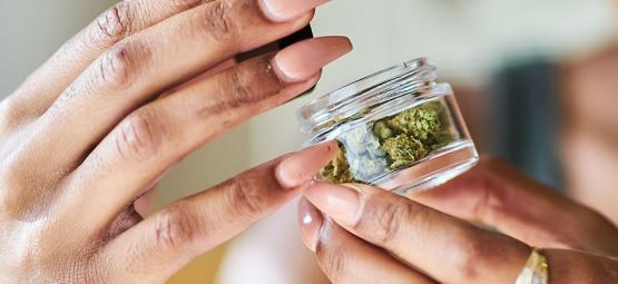 I Tanti Benefici Della Cannabis