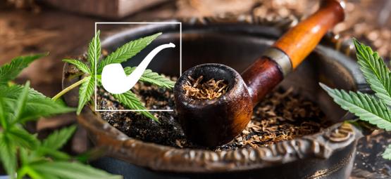 L’erba pipa di Pianilungone nel Signore degli Anelli è davvero marijuana?