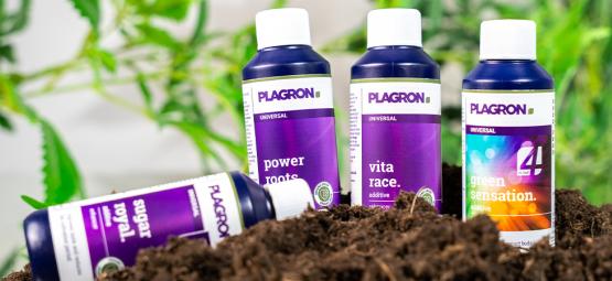I migliori concimi biologici per la coltivazione della cannabis