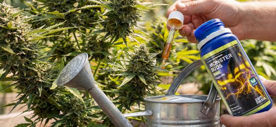 Massimizza la crescita con Monster Buds: una gamma completa di fertilizzanti per ogni fase di cresci