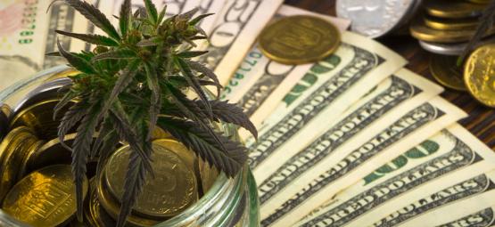 La Cannabis e L'Economia Americana