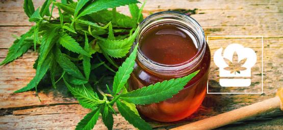 Ricetta: Come realizzare Miele a base di Cannabis