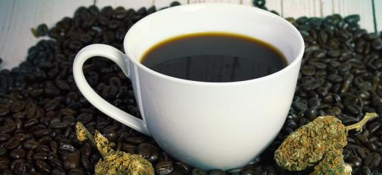 Combinare La Cannabis Ed Il Caffè: Da Dove Bisogna Cominciare?