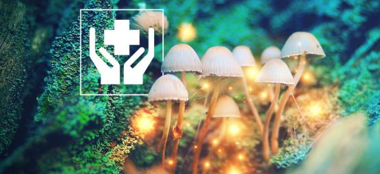 5 Sorprendenti Benefici dei Funghi Magici 