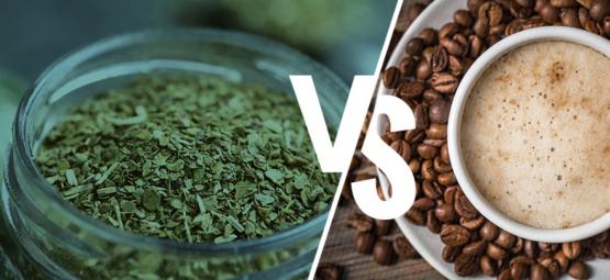 Yerba Maté Vs. Caffè: È Ora di Cambiare?