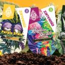 Showcase Delle Variet&agrave; Di Zamnesia: Scopri Le Gemme Rare