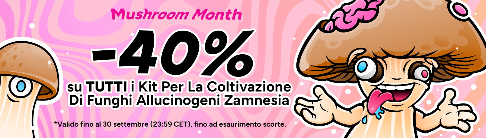 Mushroom Month MM Offerpage IT_offer