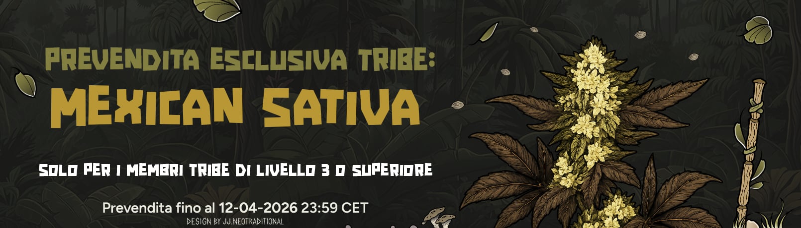 Sativa Mexicana Offerpage IT_offer