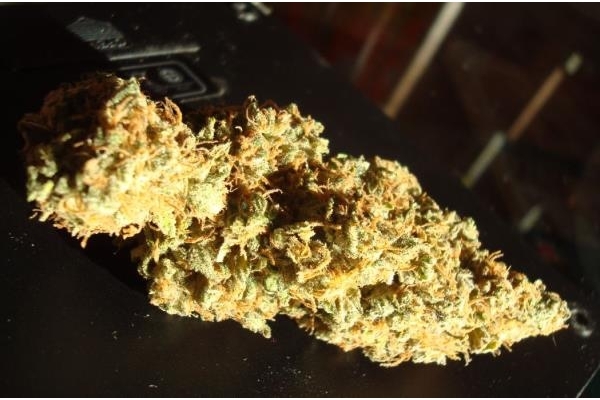 Power Flower (Royal Queen Seeds) femminizzata