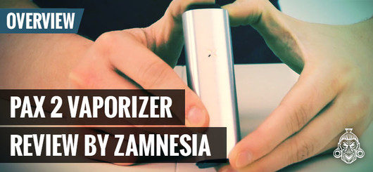 Pax2 Vaporizer di Ploom